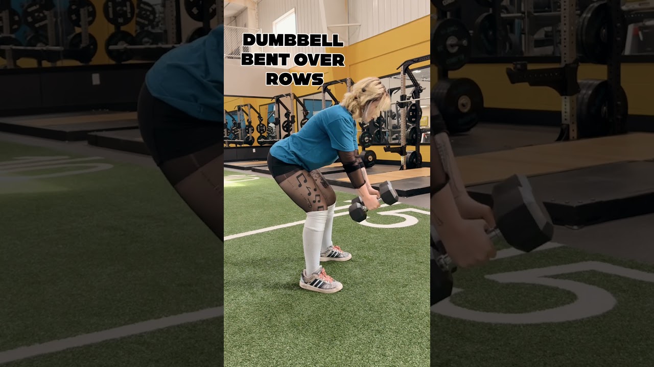 Full Body Circuit No Equipment